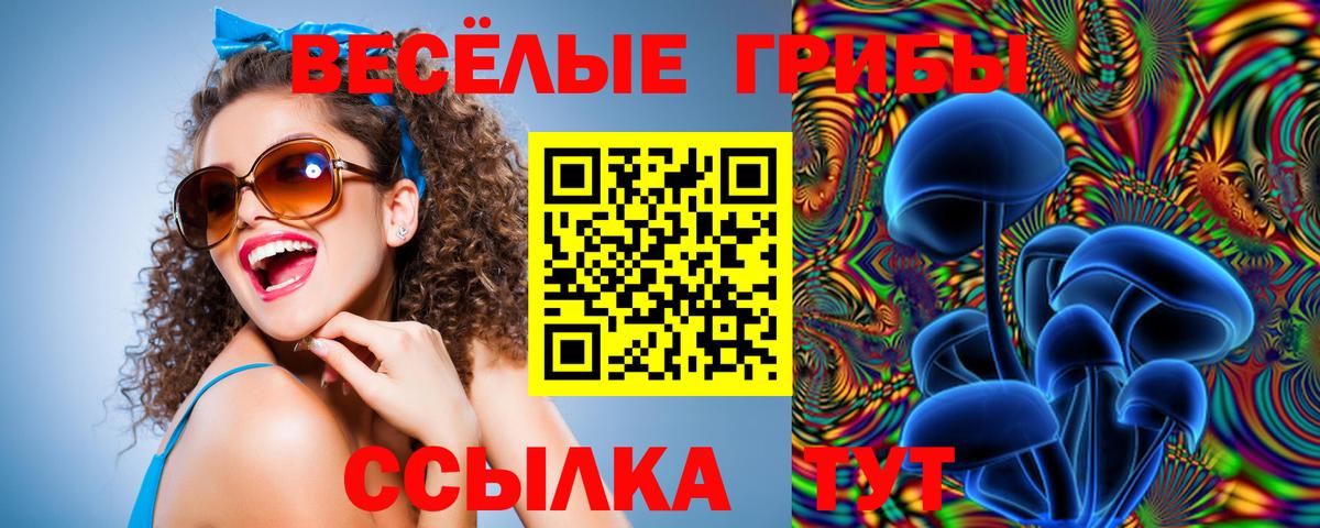 Галлюциногенные грибы Psilocybine cubensis  Псилоцибиновые грибы мицелий  Тельмана  Вход с VPN 